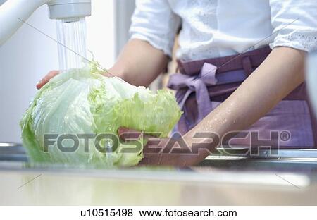Hand washing lettuce View Large Photo Image Stock Photo - Hand washing lettuce. Fotosearch