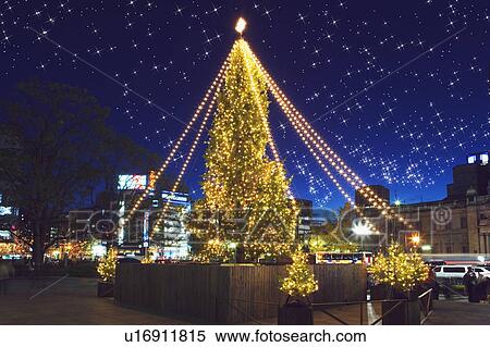Stock Photography - Illuminated Christmas trees, lens flare, long exposure, Osaka city, Osaka prefecture, Japan. Fotosearch