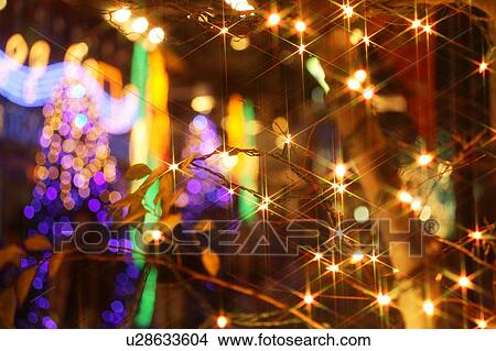 Illuminated trees, close up, lens flare View Large Photo Image Picture - Illuminated trees, close up, lens flare. Fotosearch