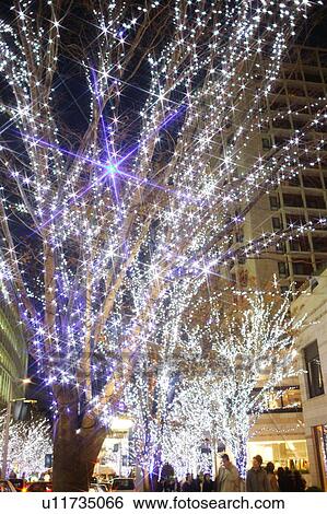 Illuminated trees, lens flare, long exposure View Large Photo Image Stock Photograph - Illuminated trees, lens flare, long exposure. Fotosearch