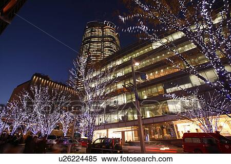 Illuminated trees, long exposure, Tokyo prefecture, Japan View Large Photo Image Stock Photography - Illuminated trees, long exposure, Tokyo prefecture, Japan. Fotosearch