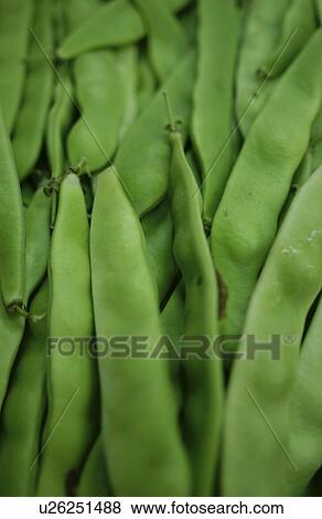 Kidney beans View Large Photo Image Stock Photo - Kidney beans. Fotosearch