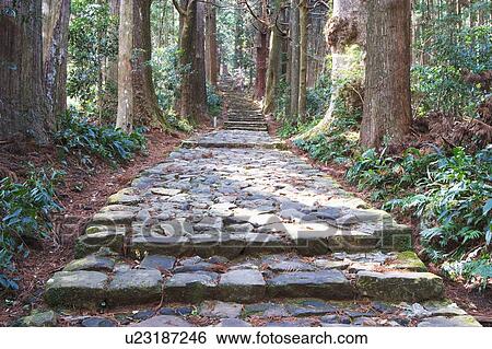 Kumanokodo, Wakayama Prefecture, Honshu, Japan View Large Photo Image Stock Photograph - Kumanokodo, Wakayama Prefecture, Honshu, Japan. Fotosearch