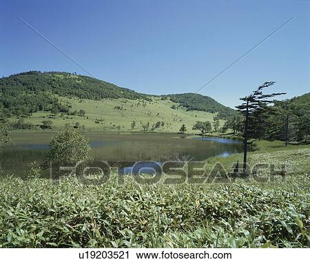 Lake Shinonome in summer, Kamishihoro town, Hokkaido prefecture, Japan View Large Photo Image Stock Image - Lake Shinonome in summer, Kamishihoro town, Hokkaido prefecture, Japan. Fotosearch