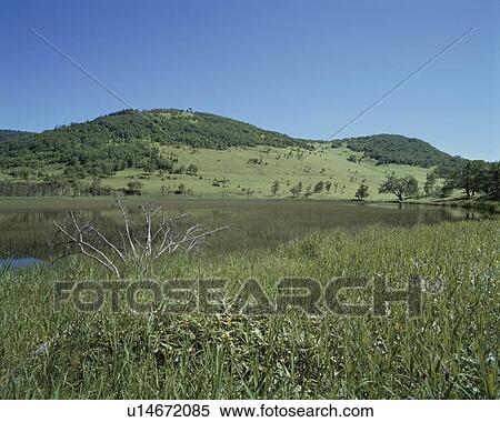 Lake Shinonome in summer, Kamishihoro town, Hokkaido prefecture, Japan View Large Photo Image Stock Photography - Lake Shinonome in summer, Kamishihoro town, Hokkaido prefecture, Japan. Fotosearch
