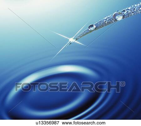 Stock Photo - Leaf and water drop. Fotosearch