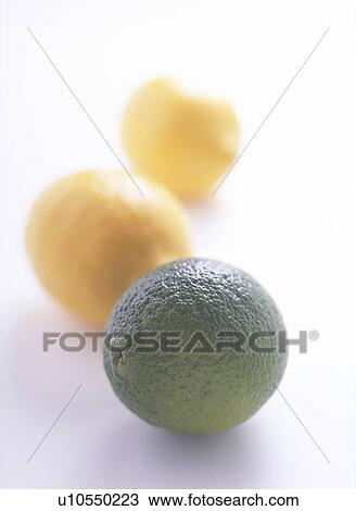Lemon and Lime View Large Photo Image Stock Image - Lemon and Lime. Fotosearch