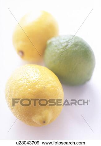 Lemon and Lime View Large Photo Image Stock Photo - Lemon and Lime. Fotosearch