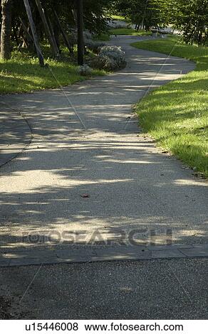 Stock Photo - Light Falling onto Pathway Through the Trees. Fotosearch
