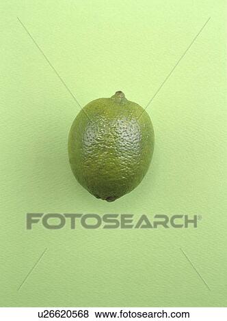 Lime, green background View Large Photo Image Stock Photo - Lime, green background. Fotosearch