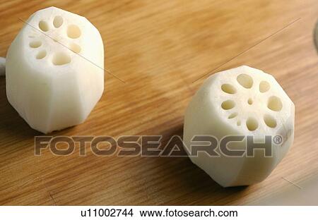 Lotus root, close up View Large Photo Image Picture - Lotus root, close up. Fotosearch