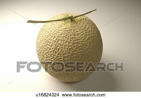 Melon View Large Photo Image Picture - Melon. Fotosearch