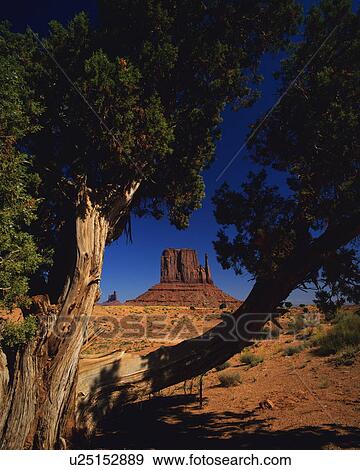 Monument Valley, Arizona, USA View Large Photo Image Stock Photo - Monument Valley, Arizona, USA. Fotosearch