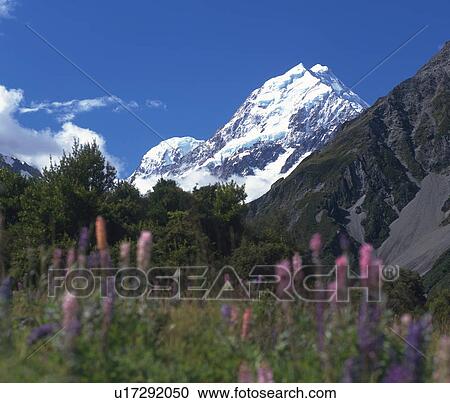 Stock Image - Mount Cook, New Zealand. Fotosearch