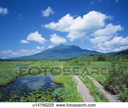 Stock Photo - Mountain from Ozegahara, Gunma prefecture, Japan. Fotosearch