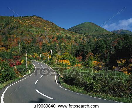 Mountain Road and Autumn Colored Leaves View Large Photo Image Stock Image - Mountain Road and Autumn Colored Leaves. Fotosearch