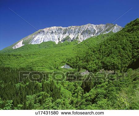 Mt. Daisen, Kofu town, Tottori prefecture, Japan View Large Photo Image Stock Image - Mt. Daisen, Kofu town, Tottori prefecture, Japan. Fotosearch