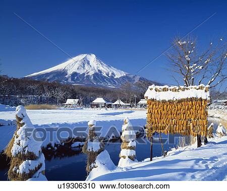 Mt. Fuji in winter, Oshino village, Yamanashi prefecture, Japan View Large Photo Image Stock Image - Mt. Fuji in winter, Oshino village, Yamanashi prefecture, Japan. Fotosearch