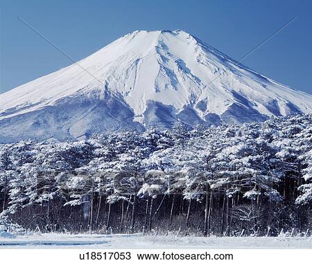 Mt. Fuji in Winter, Yamanashi Prefecture, Honshu, Japan View Large Photo Image Stock Image - Mt. Fuji in Winter, Yamanashi Prefecture, Honshu, Japan. Fotosearch