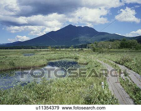 Mt. Hiuchigatake from Ozegahara, Katashina village, Gunma prefecture, Japan View Large Photo Image Stock Photo - Mt. Hiuchigatake from Ozegahara, Katashina village, Gunma prefecture, Japan. Fotosearch