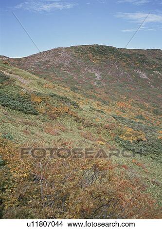 Mt. Nasudake in autumn, Nasu Town, Tochigi Prefecture, Japan View Large Photo Image Picture - Mt. Nasudake in autumn, Nasu Town, Tochigi Prefecture, Japan. Fotosearch