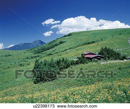 Mt. Tateshina and Kirigamine Plateau, Suwa city, Nagano prefecture, Japan View Large Photo Image Stock Image - Mt. Tateshina and Kirigamine Plateau, Suwa city, Nagano prefecture, Japan . Fotosearch