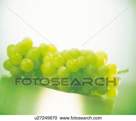 Muscat grape View Large Photo Image Stock Image - Muscat grape. Fotosearch