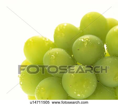 Stock Photography - Muscat grape. Fotosearch