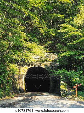 Old Amagi Tunnel, Shizuoka Prefecture, Honshu, Japan View Large Photo Image Stock Image - Old Amagi Tunnel, Shizuoka Prefecture, Honshu, Japan. Fotosearch