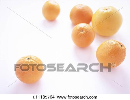 Orange and Grapefruit View Large Photo Image Picture - Orange and Grapefruit. Fotosearch