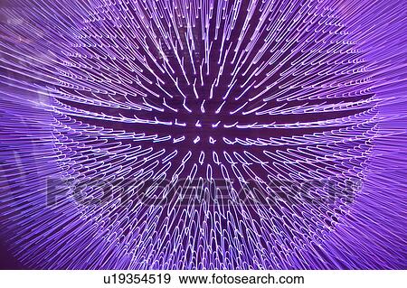 Patter of Electrical Spectaculars in Purple View Large Photo Image Stock Photo - Patter of Electrical Spectaculars in Purple. Fotosearch