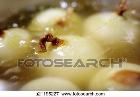 Stock Photo - Pearl onions. Fotosearch