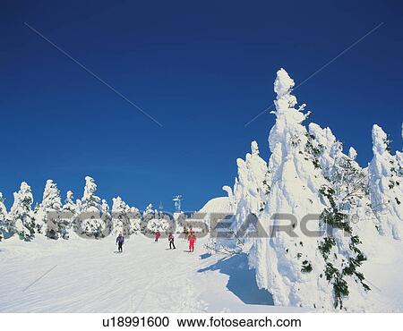 Stock Image - People skiing in mountain, Yamagata city, Yamagata prefecture, Japan. Fotosearch