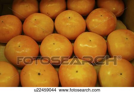 Persimmons View Large Photo Image Picture - Persimmons. Fotosearch