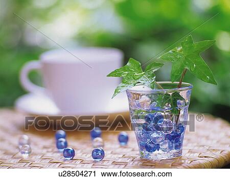 Plants in glass View Large Photo Image Stock Image - Plants in glass. Fotosearch
