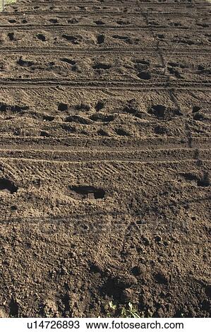 Plowed field View Large Photo Image Stock Image - Plowed field. Fotosearch