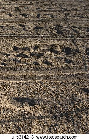 Plowed field View Large Photo Image Stock Image - Plowed field. Fotosearch