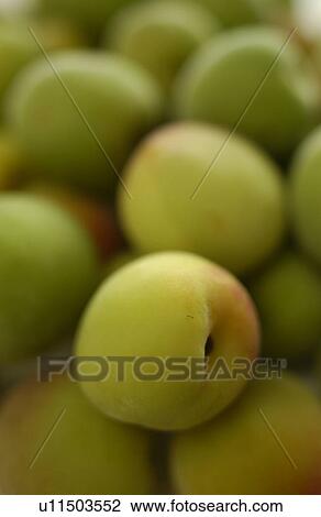 Plums, close up, full frame View Large Photo Image Stock Image - Plums, close up, full frame. Fotosearch