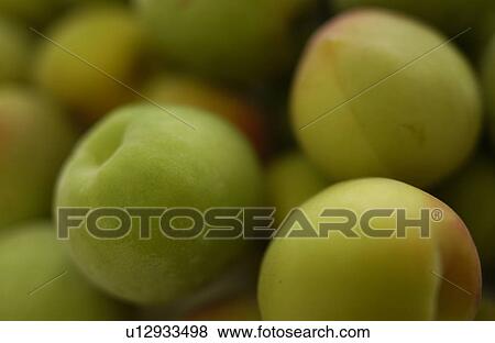 Stock Photo - Plums, close up, full frame. Fotosearch