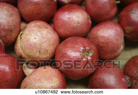 Pomegranates View Large Photo Image Stock Image - Pomegranates. Fotosearch