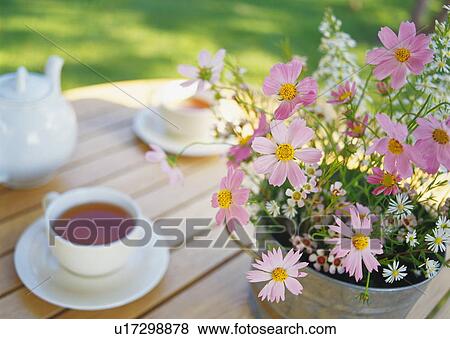 Stock Photo - Potted cosmos and cups of tea on table. Fotosearch
