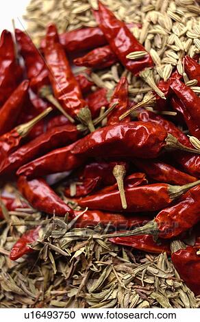 Stock Image - Red chili peppers. Fotosearch