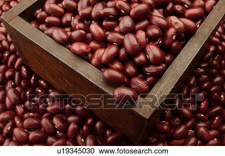 Red kidney beans in wooden square box, close up View Large Photo Image Stock Image - Red kidney beans in wooden square box, close up. Fotosearch