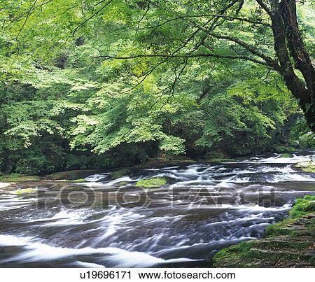 Stock Image - River in greens, Kumamoto prefecture, Japan. Fotosearch