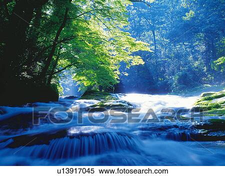 River in greens, long exposure, Kumamoto prefecture, Japan View Large Photo Image Stock Photography - River in greens, long exposure, Kumamoto prefecture, Japan. Fotosearch