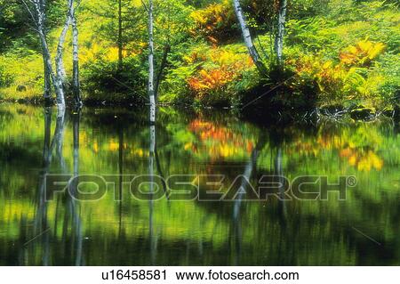 Stock Image - River. Fotosearch