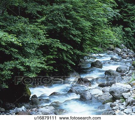 River View Large Photo Image Stock Image - River. Fotosearch