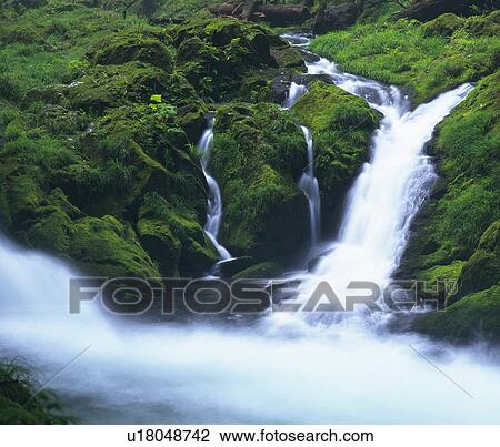 River stream View Large Photo Image Stock Image - River stream. Fotosearch
