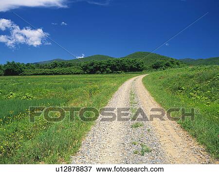 Stock Photo - Road in a field, Hokkaido Prefecture, Japan. Fotosearch
