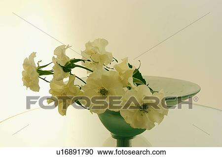 Roses in vase View Large Photo Image Stock Image - Roses in vase. Fotosearch